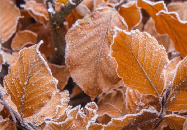 Из июля в октябрь с космической скоростью: заморозки накроют центр РФ