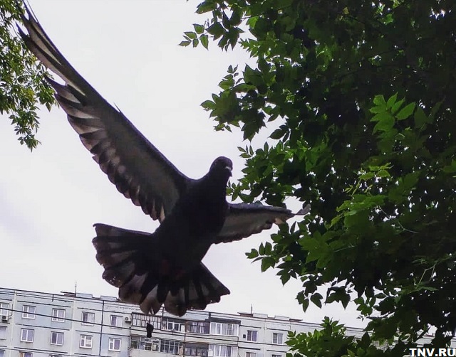 В завершение короткой рабочей недели в Татарстане воздух прогреется до +19 градусов