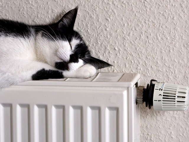 В России тарифы на ЖКХ с 1 декабря вырастут на 9%