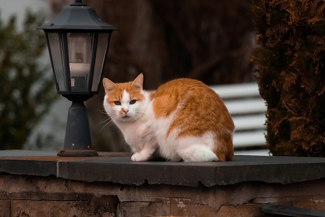 21 апрель Татарстанда көчле җил көтелә