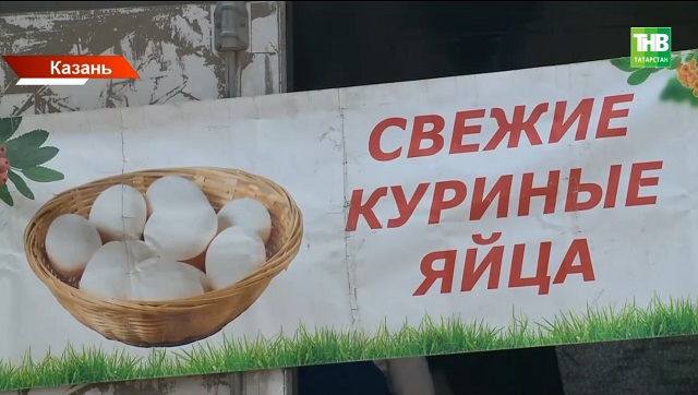 В РФ фермеры массово уничтожают кур-несушек из-за падения цен на яйца: а что в Татарстане?