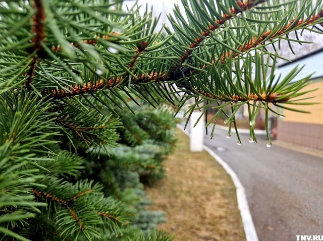 Температура «рухнет» сразу на 15 градусов: Гидрометцентр предупредил о резком похолодании