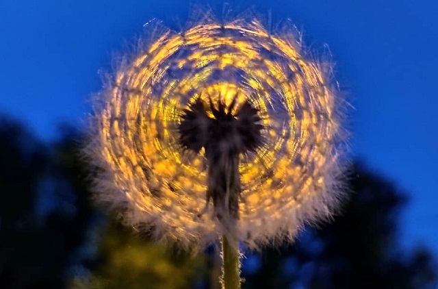 Сразу два штормовых предупреждения объявили в Татарстане