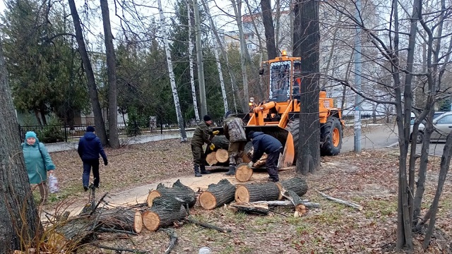 Дерево рухнуло на 18-летнюю девушку в Казани