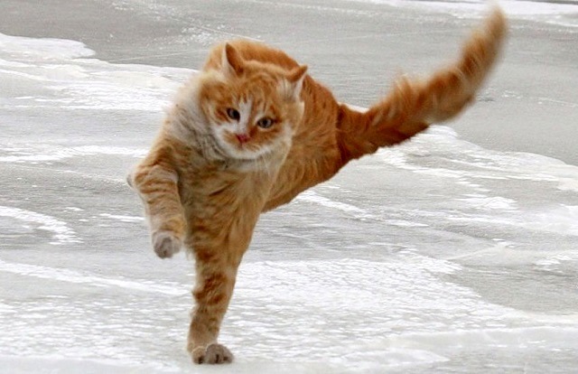 13 гыйнварда Татарстанда көчле җил көтелә