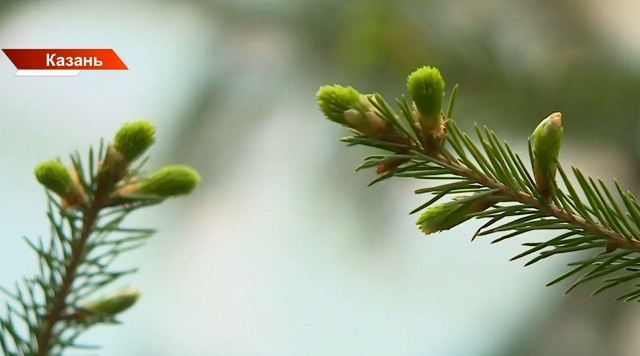 Синоптики ответили, когда в Татарстане завершится «битва зимы и весны»