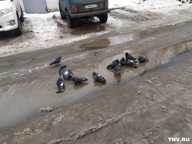 Татарстанцев предупредили о ситуации на дорогах 4 января