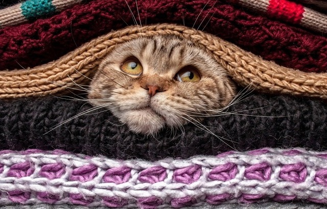 15 ноябрьдә Татарстанда һава -8 градуска кадәр җитәчәк