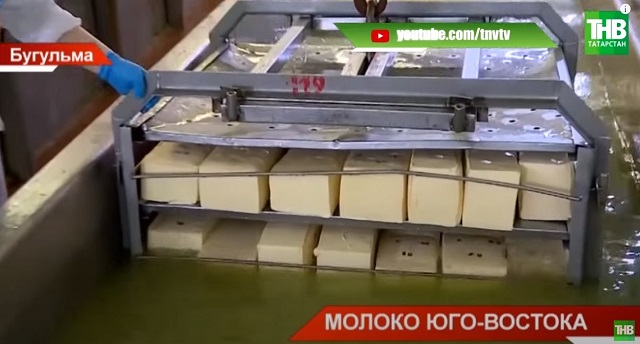 Бөгелмә сөт комбинаты товарларның күләмен дә, төрлелеген дә арттырырга җыена