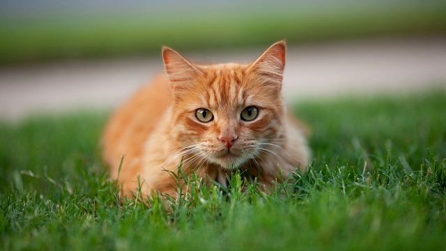 22-градусное тепло и порывистый ветер ожидаются в Татарстане в начале недели