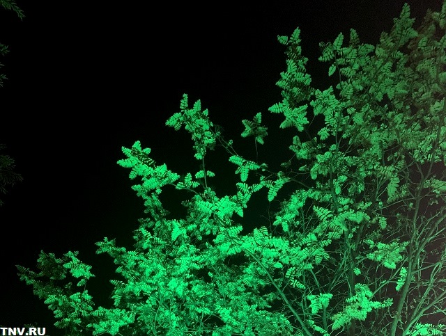 После короткого тепла в Татарстане температура рухнет до +2 градусов