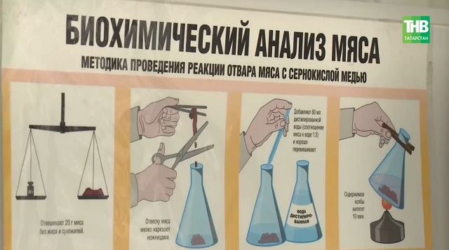 «Бирка нарисована маркером»: в Татарстане ищут владельца телят, выброшенных в овраг