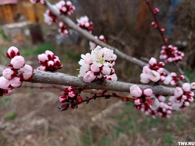 В Пасху Казань побила температурный рекорд 30-летней давности