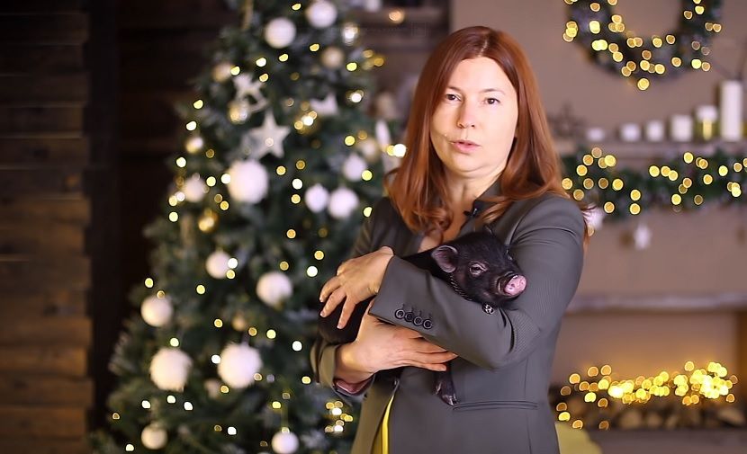 Нижегородский суд заочно арестовал бывшую главу города Елизавету Солонченко