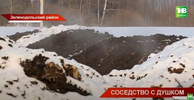 «Облако смрада»: в РТ сельчане бьют тревогу из-за гадкого запаха навоза с птицефабрики