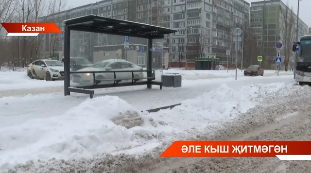 Татарстан халкы юллар һәм тротуарлар тиешенчә чистартылмауга зарлана