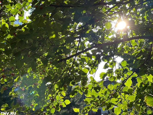 Качели от +8 до +28 градусов: Татарстан продолжает штормить