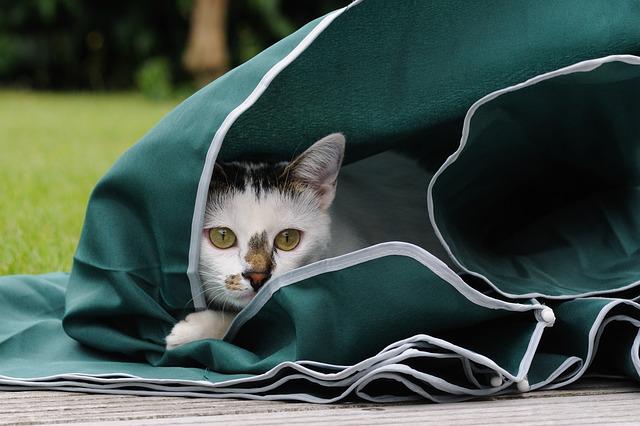 Выходные в Татарстане начнутся с дождей, гроз и порывистого ветра до 20 м/с