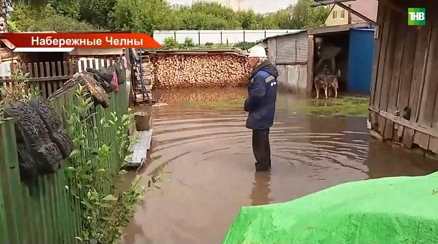 Грядки и урожай уничтожены: Татарстан отходит от последствий непогоды, что говорят синоптики?