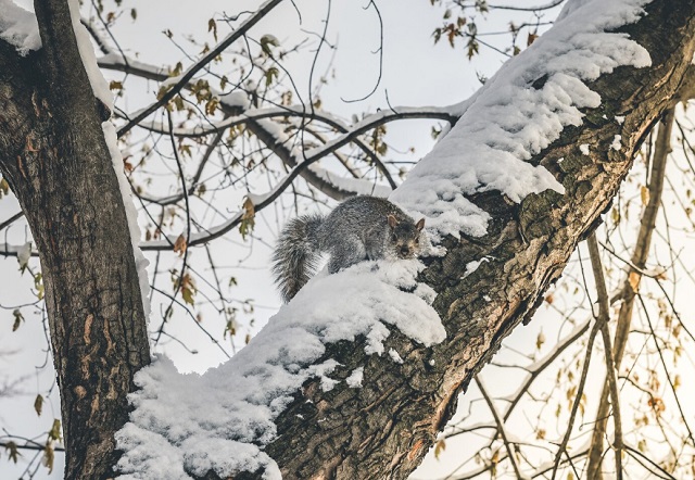 Резкое потепление на 25 градусов анонсировал Вильфанд в двух регионах РФ