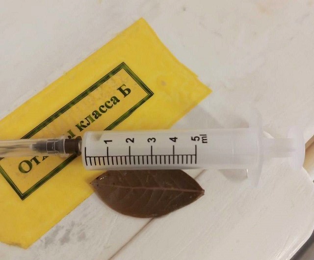 «Когда я ем, я глух и нем»: татарстанцев призвали соблюдать мудрость, чтобы остаться в живых