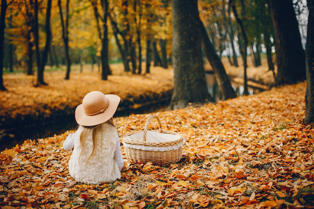 Скрытый смысл: эксперт КФУ рассказал, откуда пошло название «бабье лето»