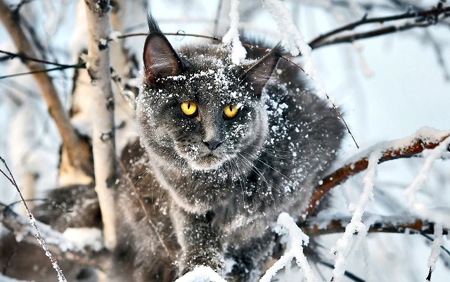 19-градусный мороз и небольшие снегопады ожидаются в Татарстане 21 февраля