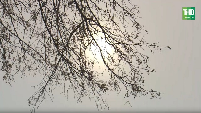 Быел яз нинди булачак һәм кайчан киләчәк?