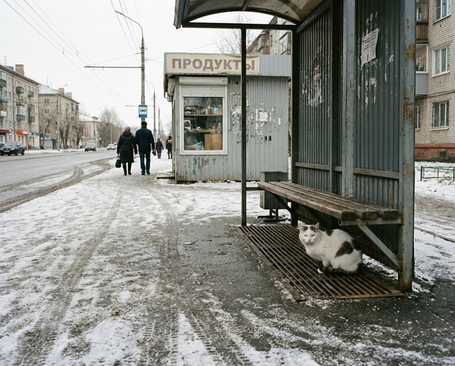 Февральский коллапс сменяется оттепелью: Татарстан ждет потепление до +3 и дожди