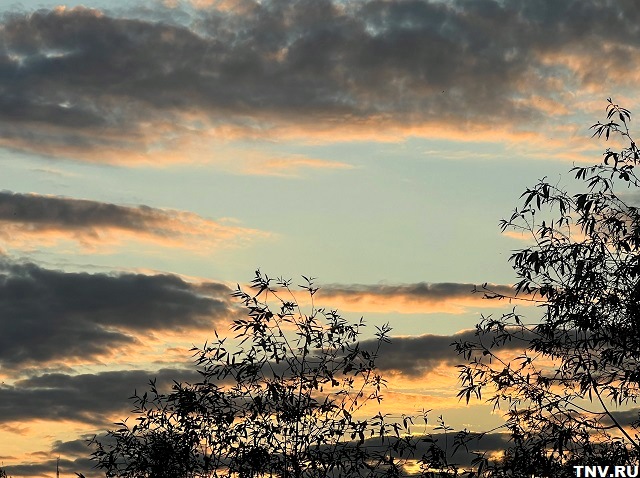 Синоптик Шувалов призвал не ждать жару в центре РФ в начале июля