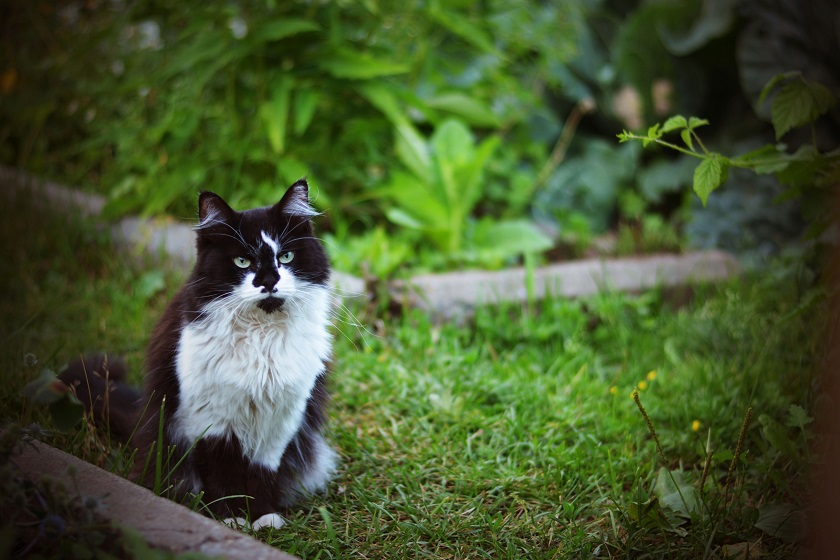 Тепло и облачно: прогноз погоды в Татарстане на 25 июля