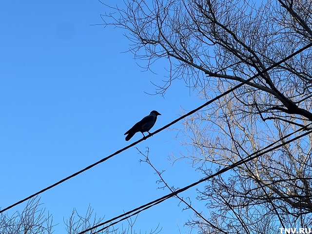 Холодный фронт не за горами: Гидрометцентр Татарстана дал прогноз на начало апреля