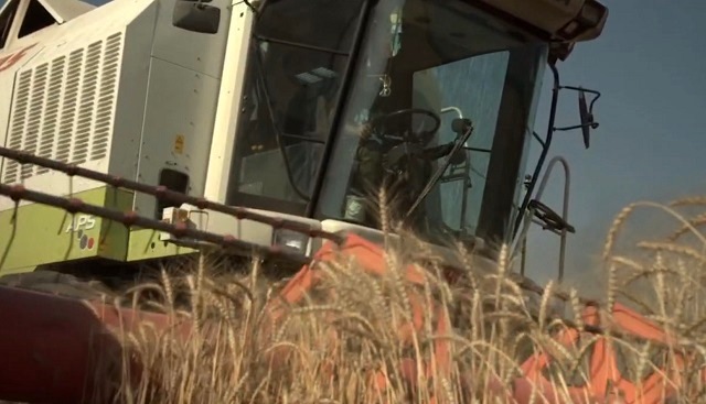 Минниханов опубликовал ролик о ходе уборочной страды в Татарстане