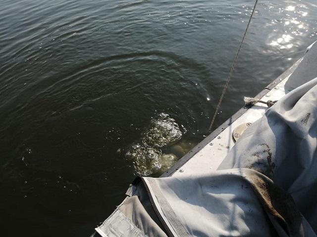 Молодой мужчина утонул в городском озере в Казани