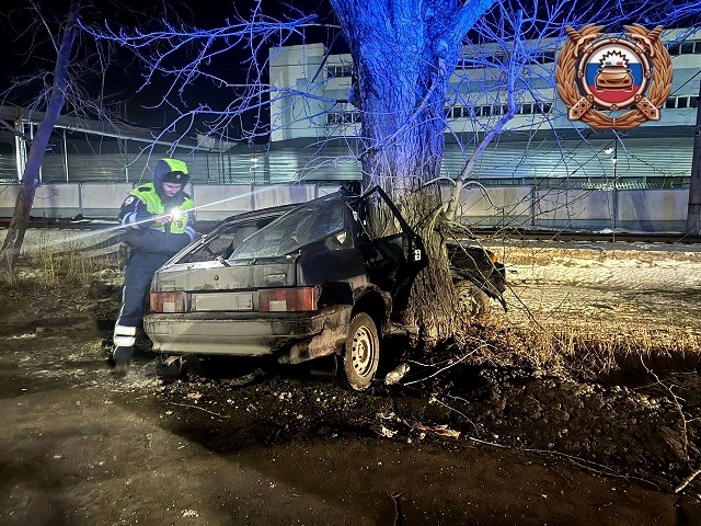 Влетел в дерево и погиб: стали известны подробности рокового ДТП в Зеленодольске