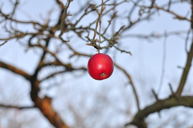 Климатические аномалии: в центре «Фобос» раскрыли, к чему готовиться в октябре и ноябре