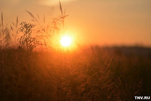 Профессор КФУ объяснил, почему в этом году летнее солнцестояние наступит раньше