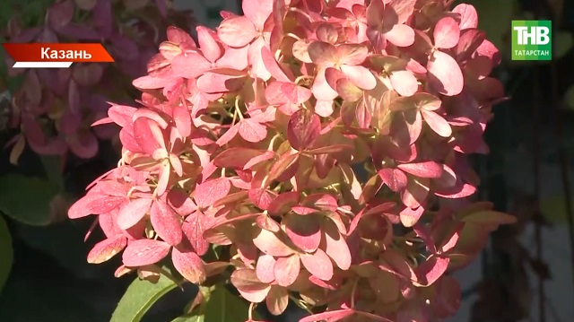 Иртәгә Татарстанда +3 градуска кадәр суытачак