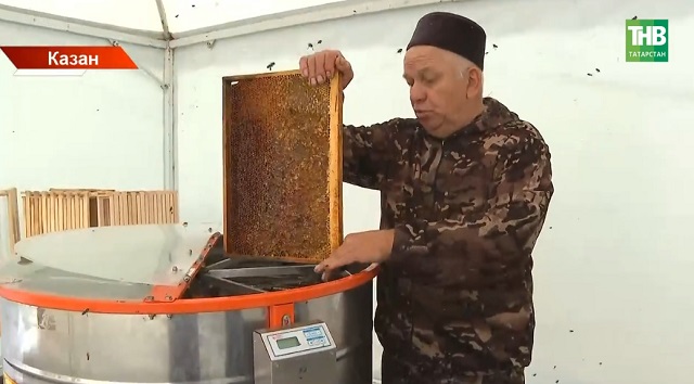 Казан үзәгендә — зур умарталык: мәдрәсә шәкертләрен бал кортлары карарга өйрәтәләр