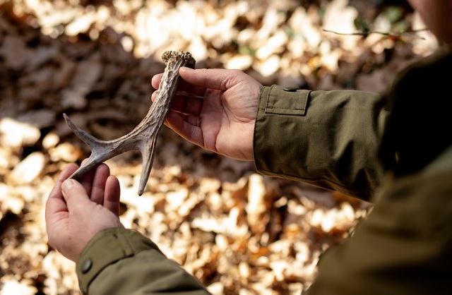 В Татарстане право на получение охотничьего билета будут подтверждать через тестирование