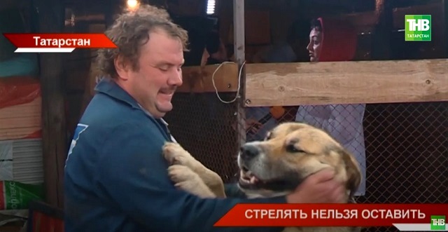 «Стрелять нельзя оставить»: детали законопроекта об обращении с бродячими животными