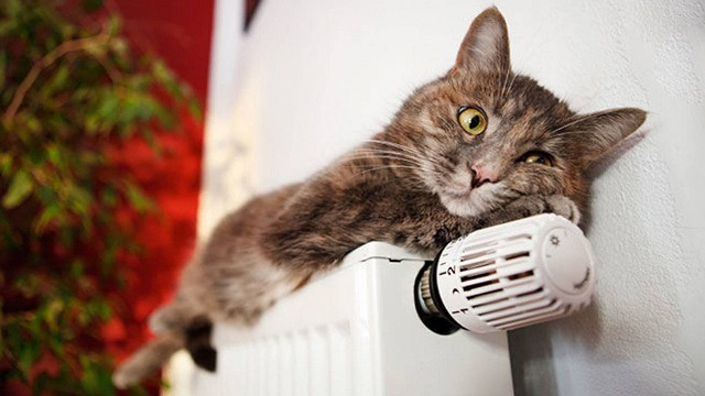 Казанның күпфатирлы йортларының 90,03%ы җылылык белән тәэмин ителгән