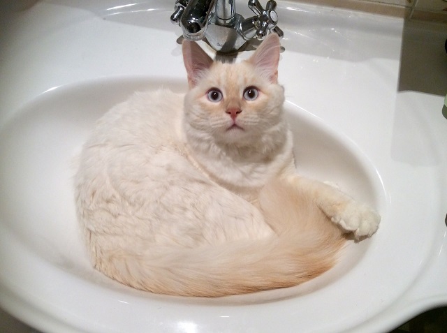 Стало известно, в каких комплексах Набережных Челнов отключат горячую воду до 23 мая