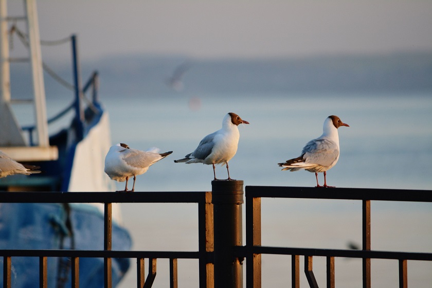 Жара в Татарстане уступит место прохладе и свежести