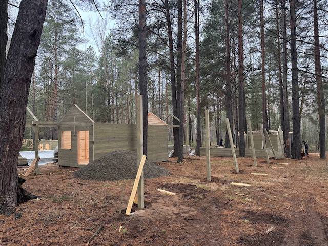 Первый парк с альпаками появится в Набережных Челнах