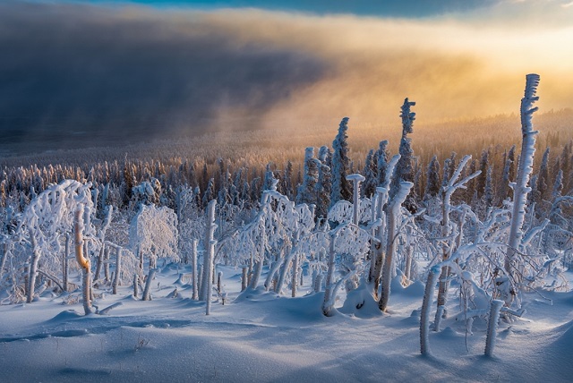 От -55 градусов до оттепели: Вильфанд предупредил о погодном хаосе в России