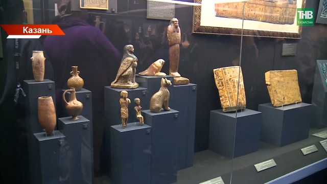 К 131‑летию Национального музея: в Казани представили уникальную выставку «Кабинет редкостей»