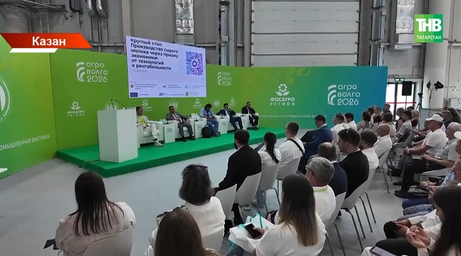 Сөт бәясе төшә, чыгым арта: Татарстан фермерлары чаң кага