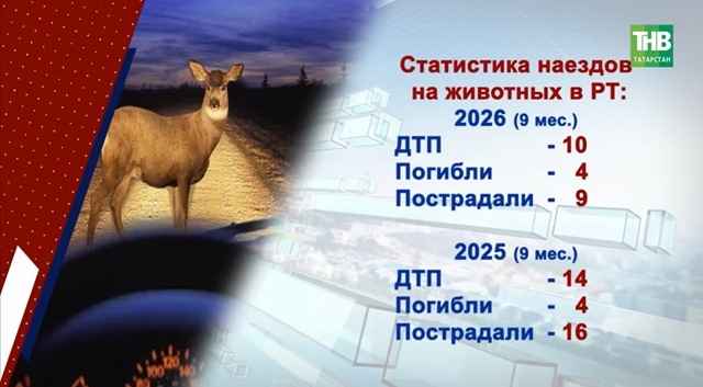 Акустика против зверей: что тестируют на дорогах в Татарстане