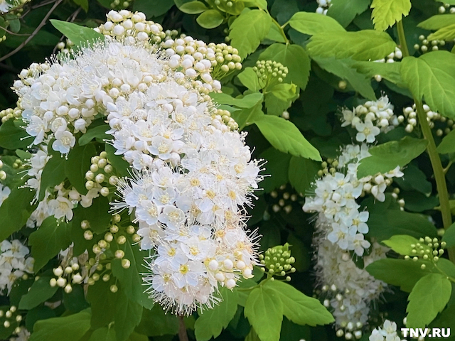 Температурный рекорд: начало года стало самым жарким в истории России